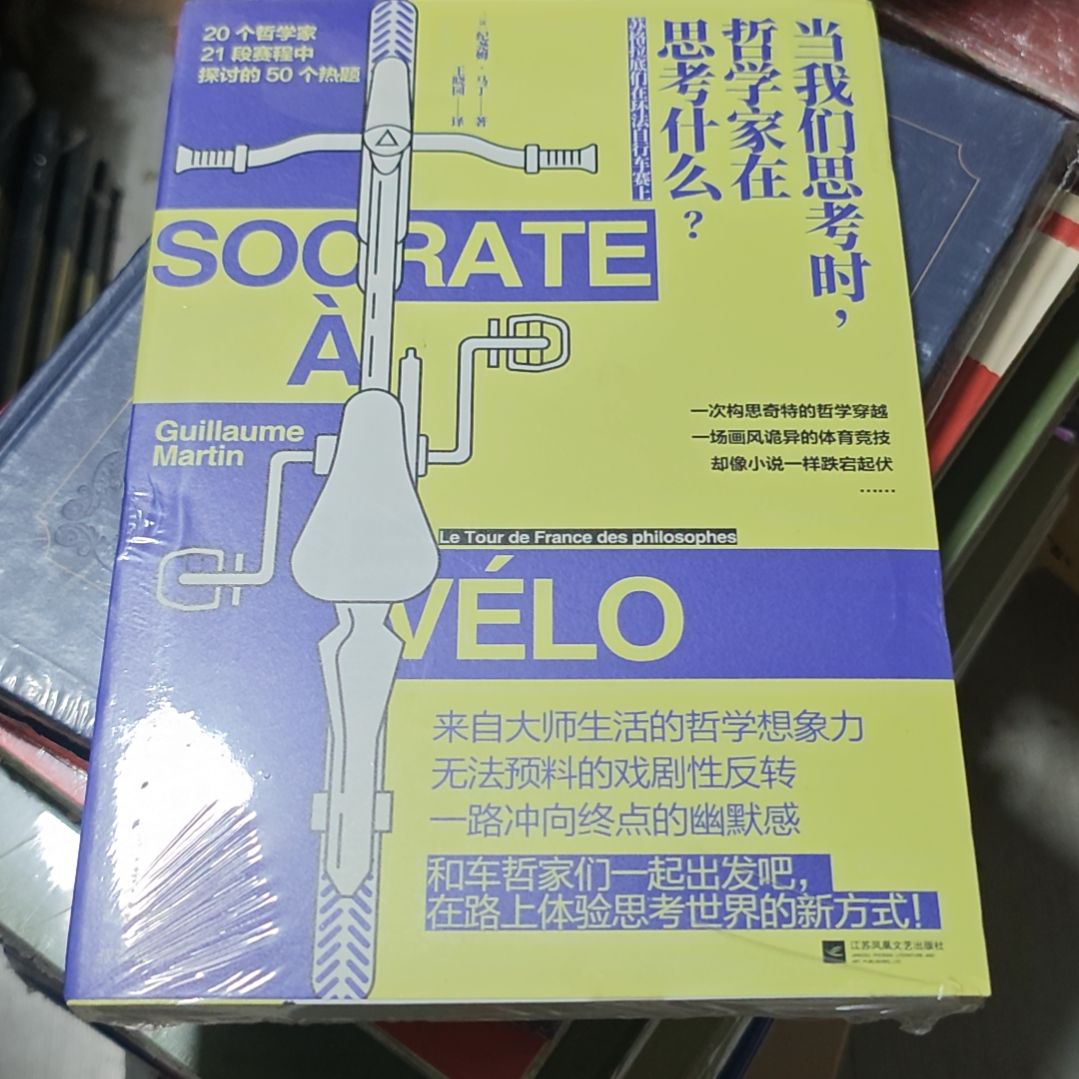 当我们思考时哲学家在思考什么