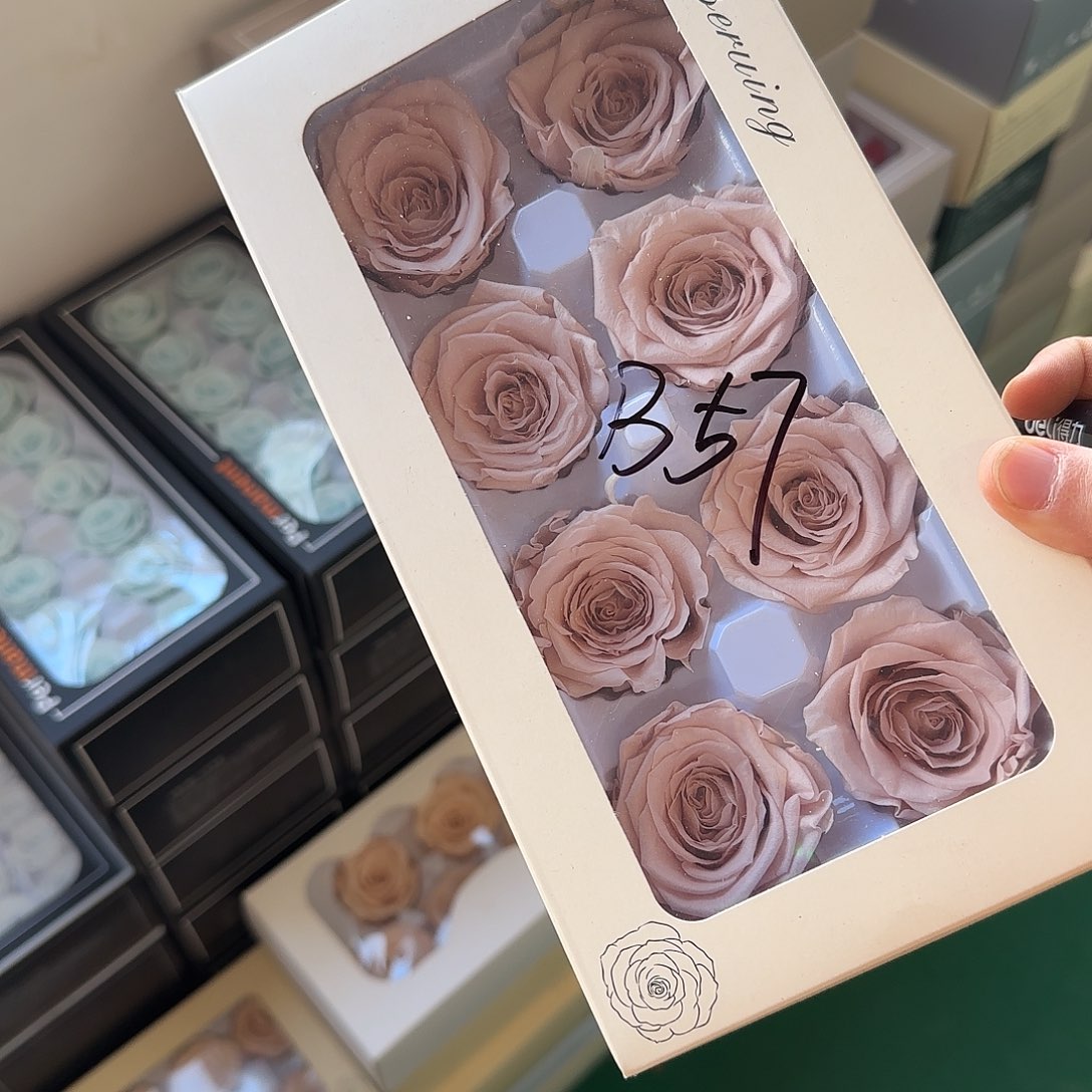 B57号卡布8朵玫瑰1盒