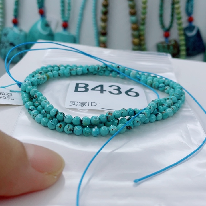 绿松石未镶嵌颈饰