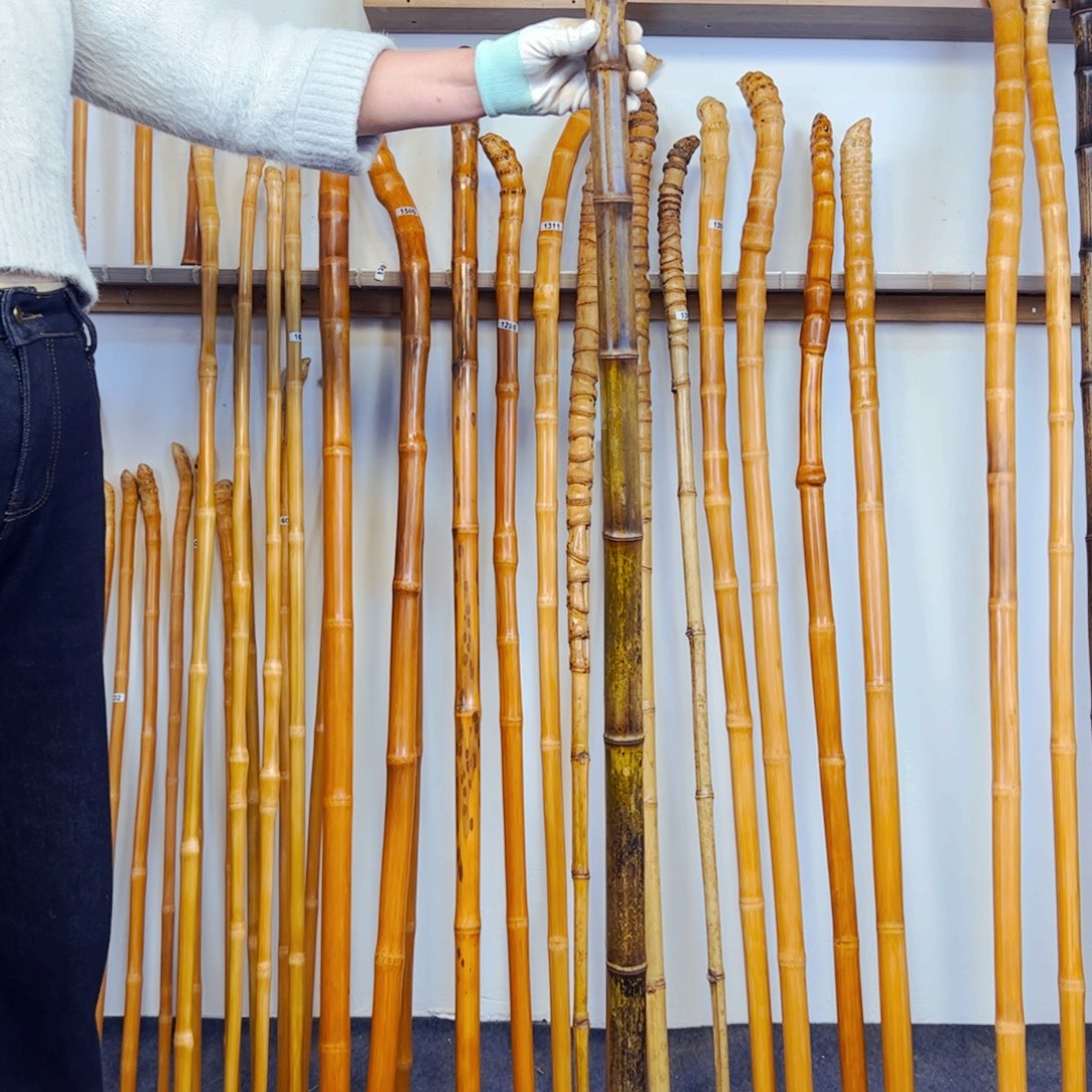 毒*1636紫竹杖登山杖手持拐棍