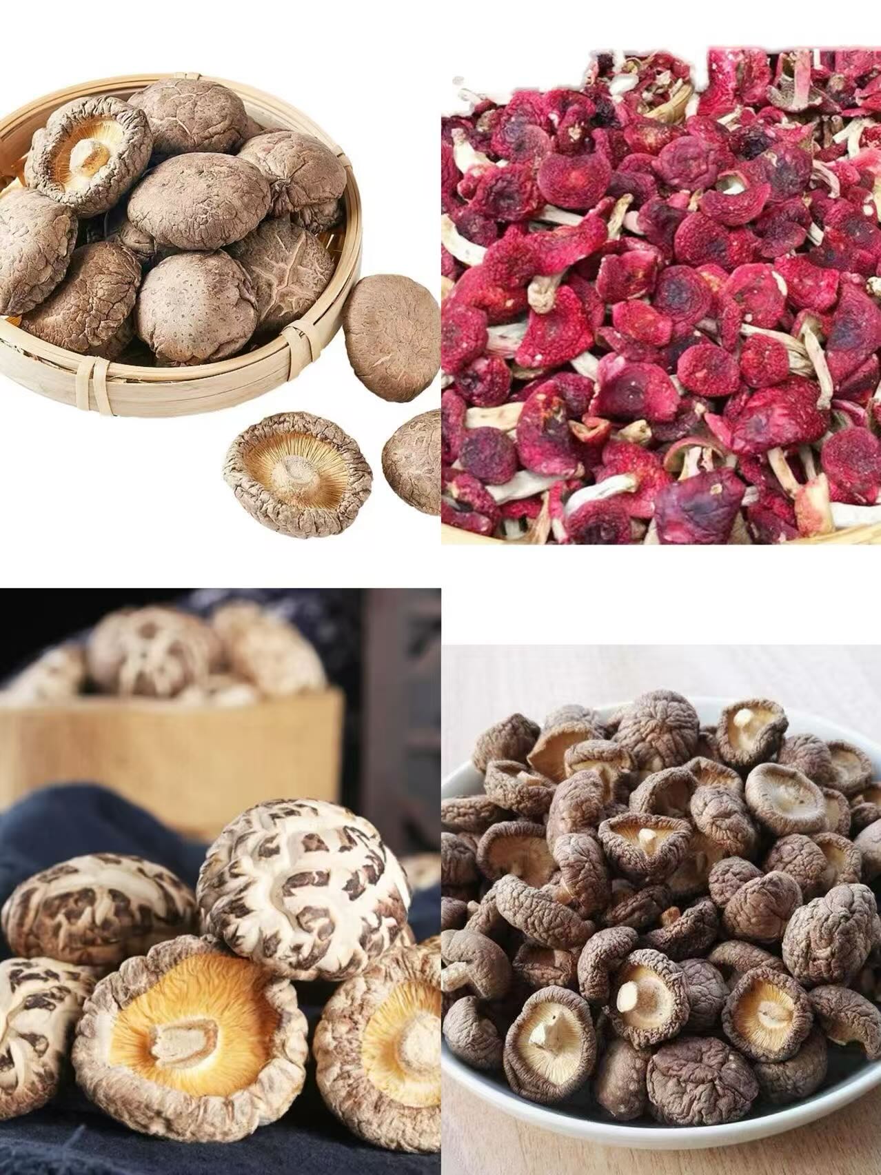 山货】农家土特产 非香菇 （甲）初级农产品