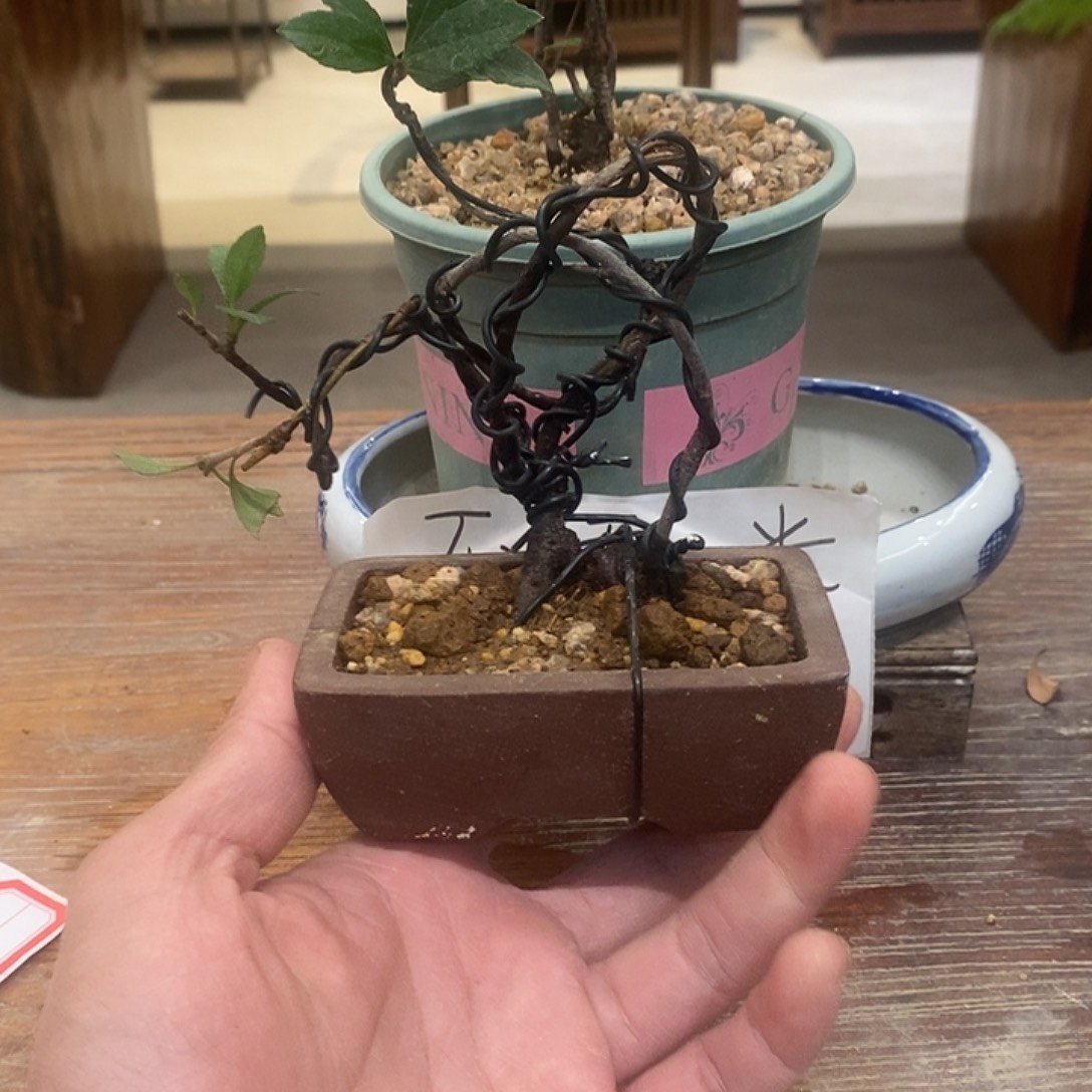 钓***者完全开放海岛春花