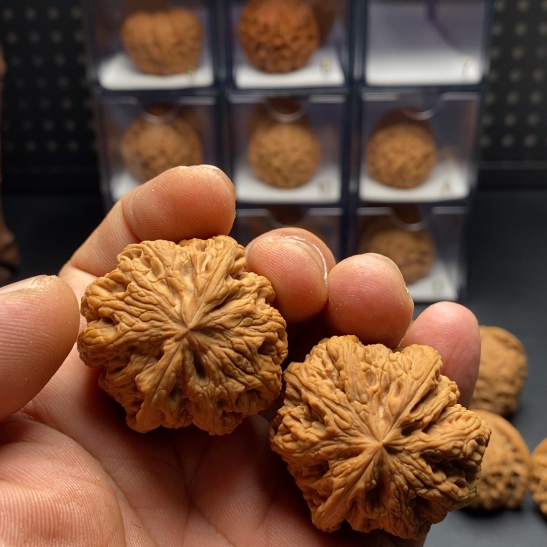 吉***吉39全品大粗筋8888888888