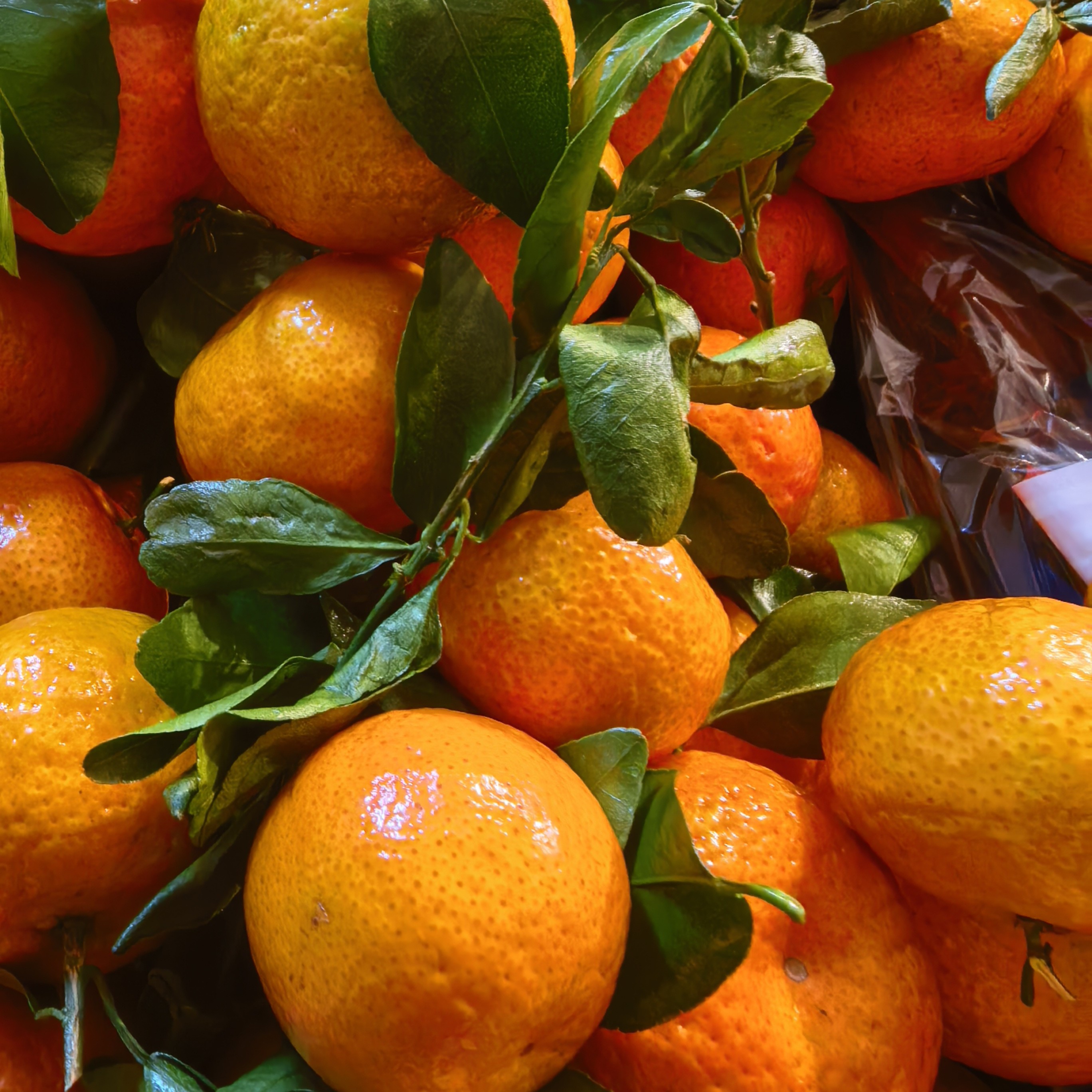 小富水果福利拼盘（一斤草莓+1斤英桃+1.5斤沙糖桔）