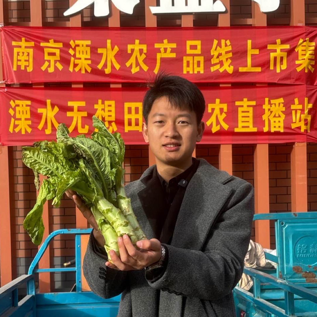 溧水农家自种新鲜莴苣 现摘现发