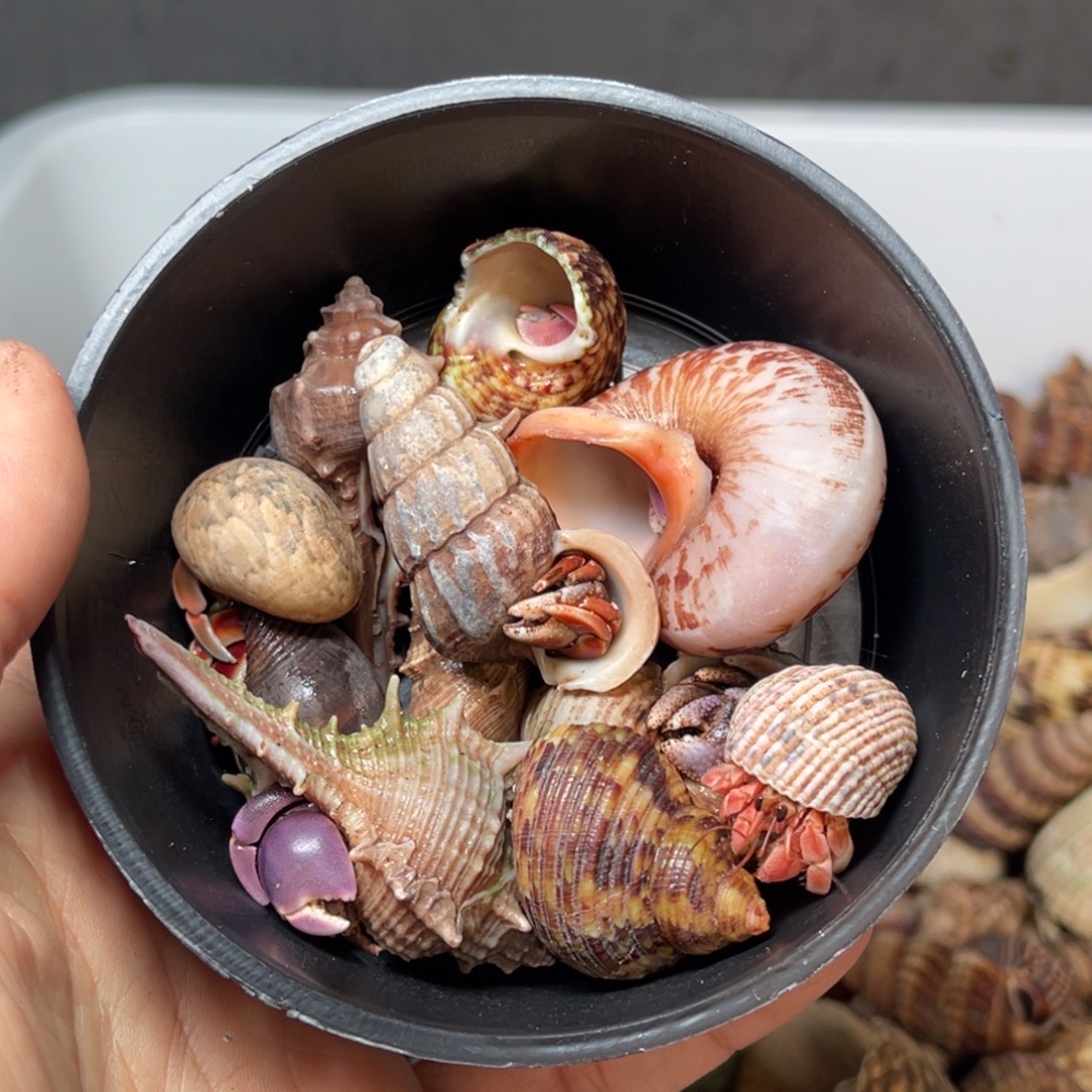 燃***萄那么这段婚姻我还