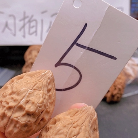 吊坠桃核32全品龟甲纹