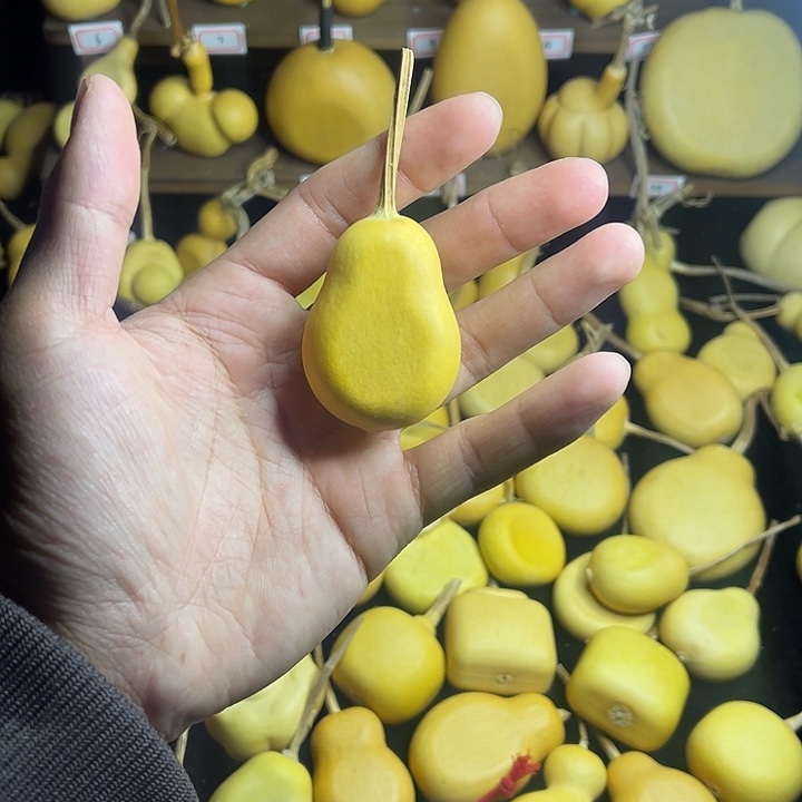 D****小梨扁一物一拍漏