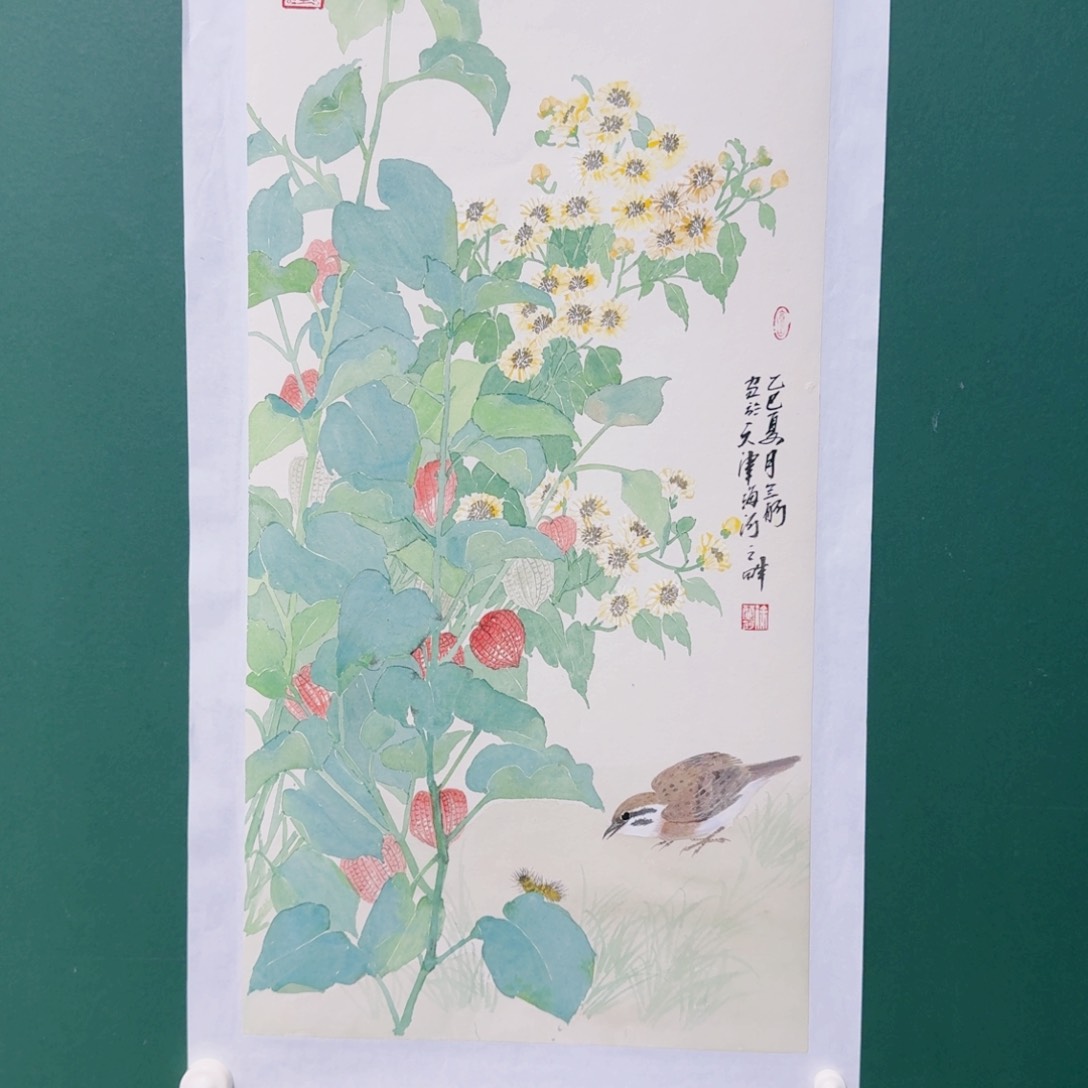 国画你们是什么情况呀小