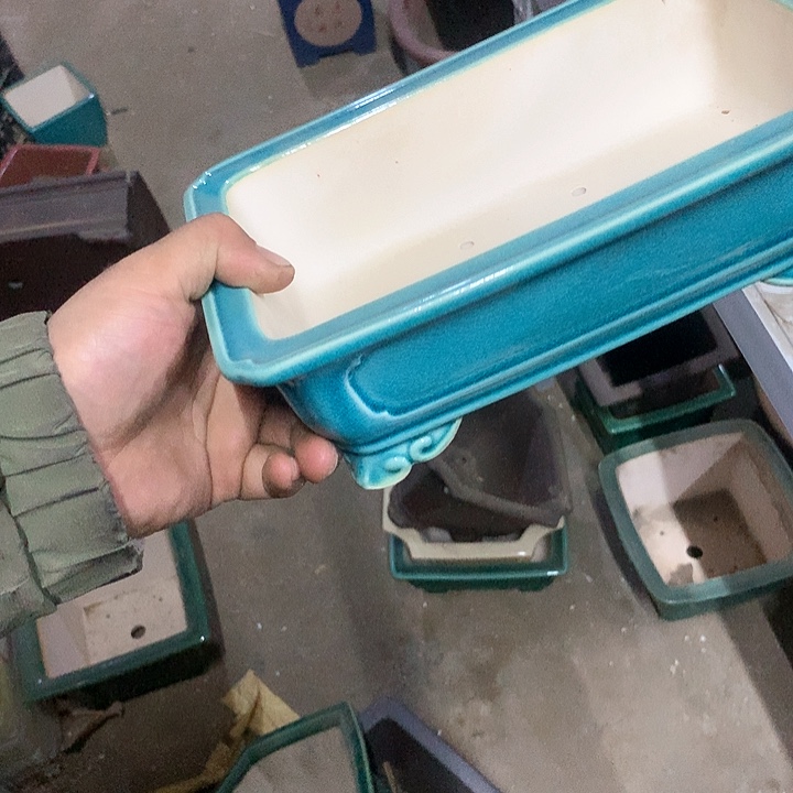 紫砂没有那么好吃我觉得