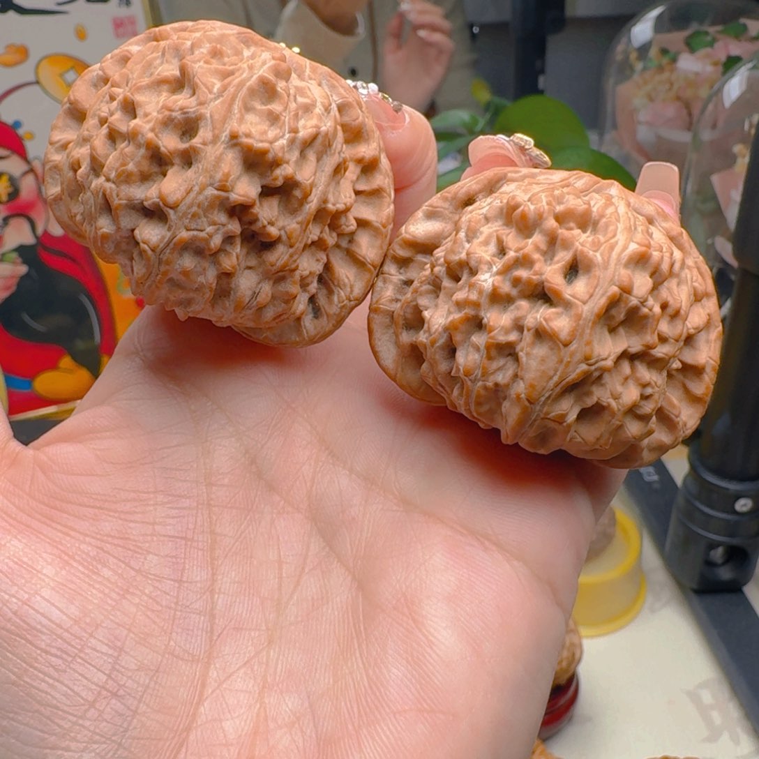 核桃把件小***铁47尺寸白狮子