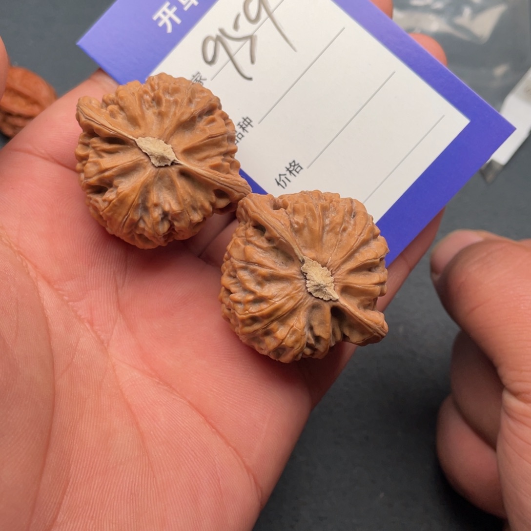 核桃把件41宫灯，959号