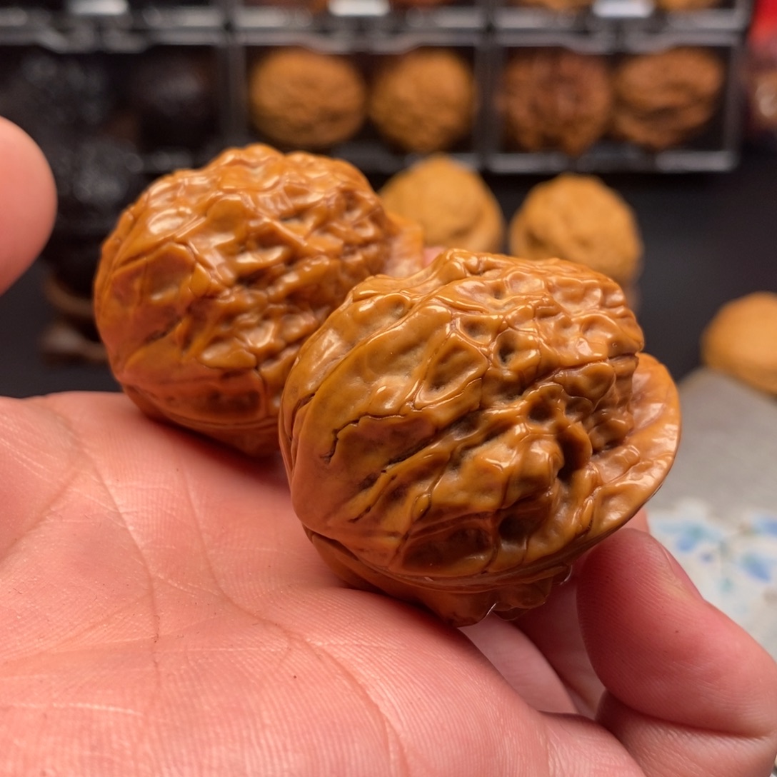 把件文玩核桃烈火金蝉