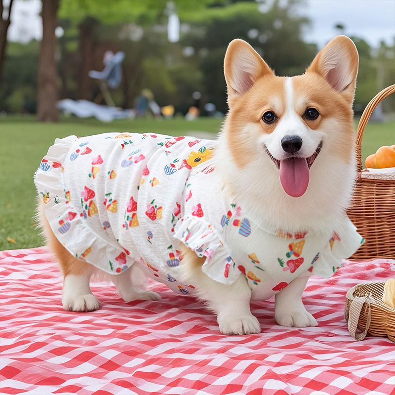 宠物狗狗衣服薄款背心裙防掉毛凉衣柯基柴犬中小型犬2025新款