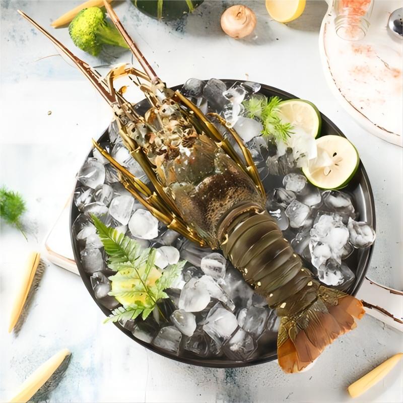 【液氮鲜冻】小青龙3只/顺丰冷链次日达