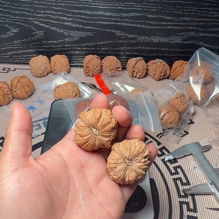 p***u大叶紫檀（黑酸枝木类）