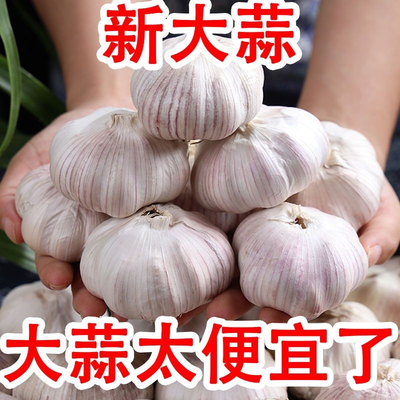 蒜头大蒜紫皮独头特大9斤10斤一箱批发大果2025新干大蒜特产白皮