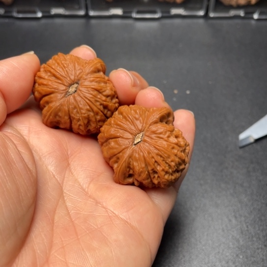 【闪购商品】把件文玩核桃血麒麟………