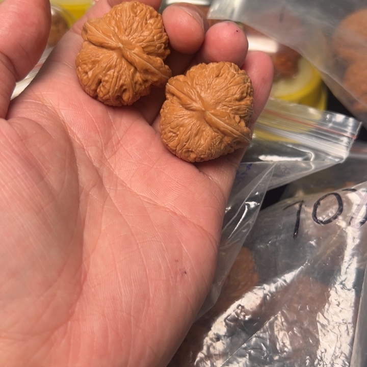 核桃元宝，36已打底，全品