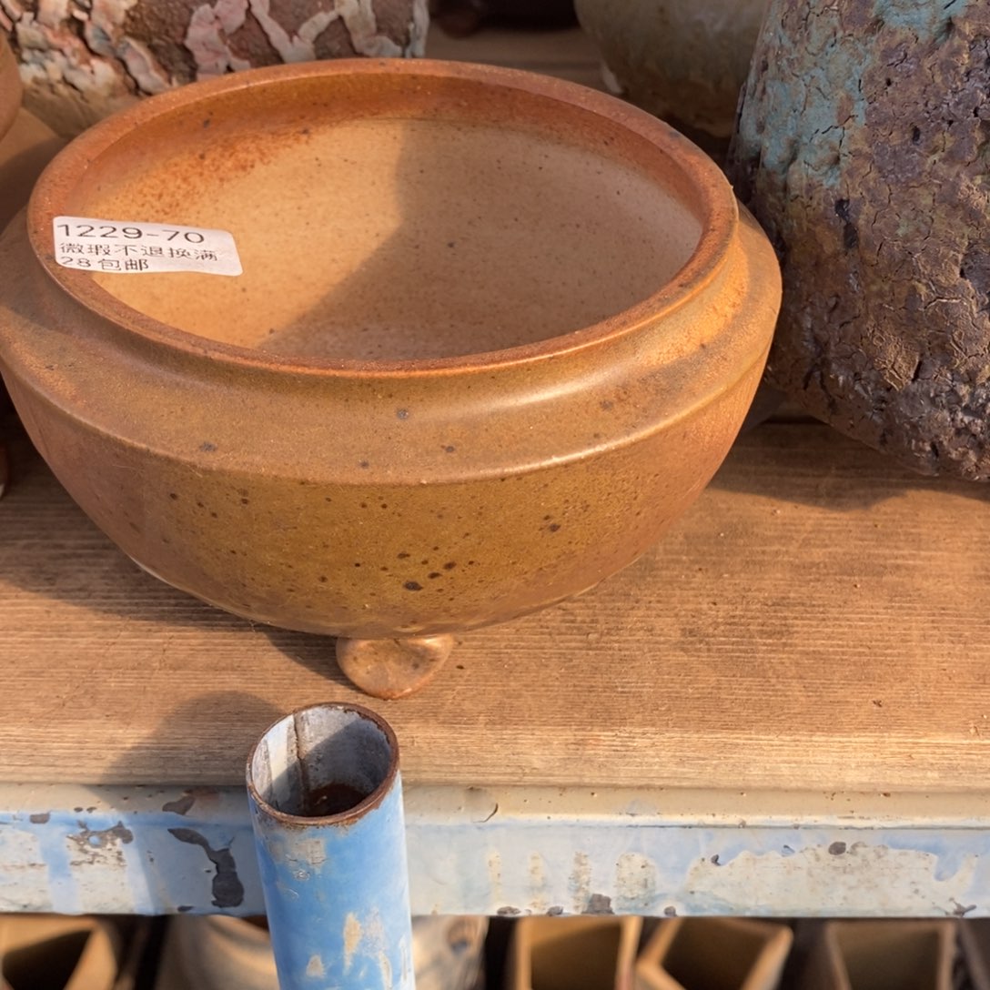 70号多肉盆口径11