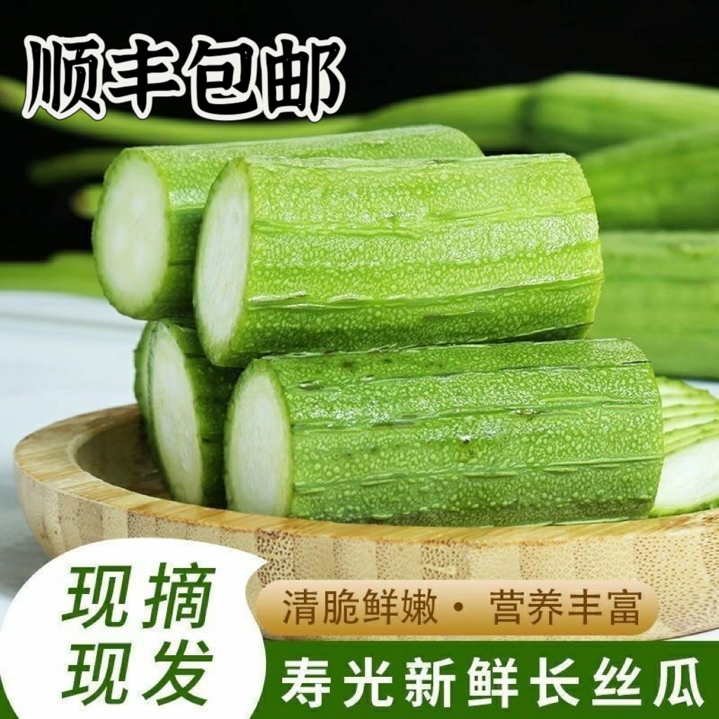 （顺丰包邮）山东寿光长绿丝瓜现摘现发新鲜口感爽口新鲜绿色丝瓜