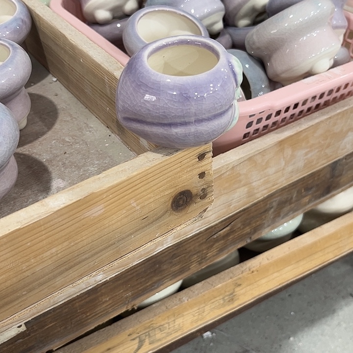 幸***草两个紫色（送的小多肉