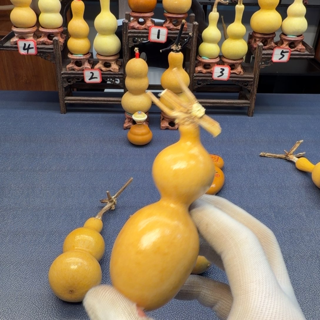 没***达天然蚂蚁葫芦放心玩