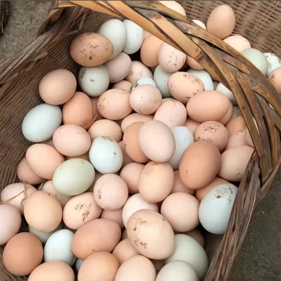 信阳本地 农家散养土鸡蛋50枚【粉壳】双11平台折扣