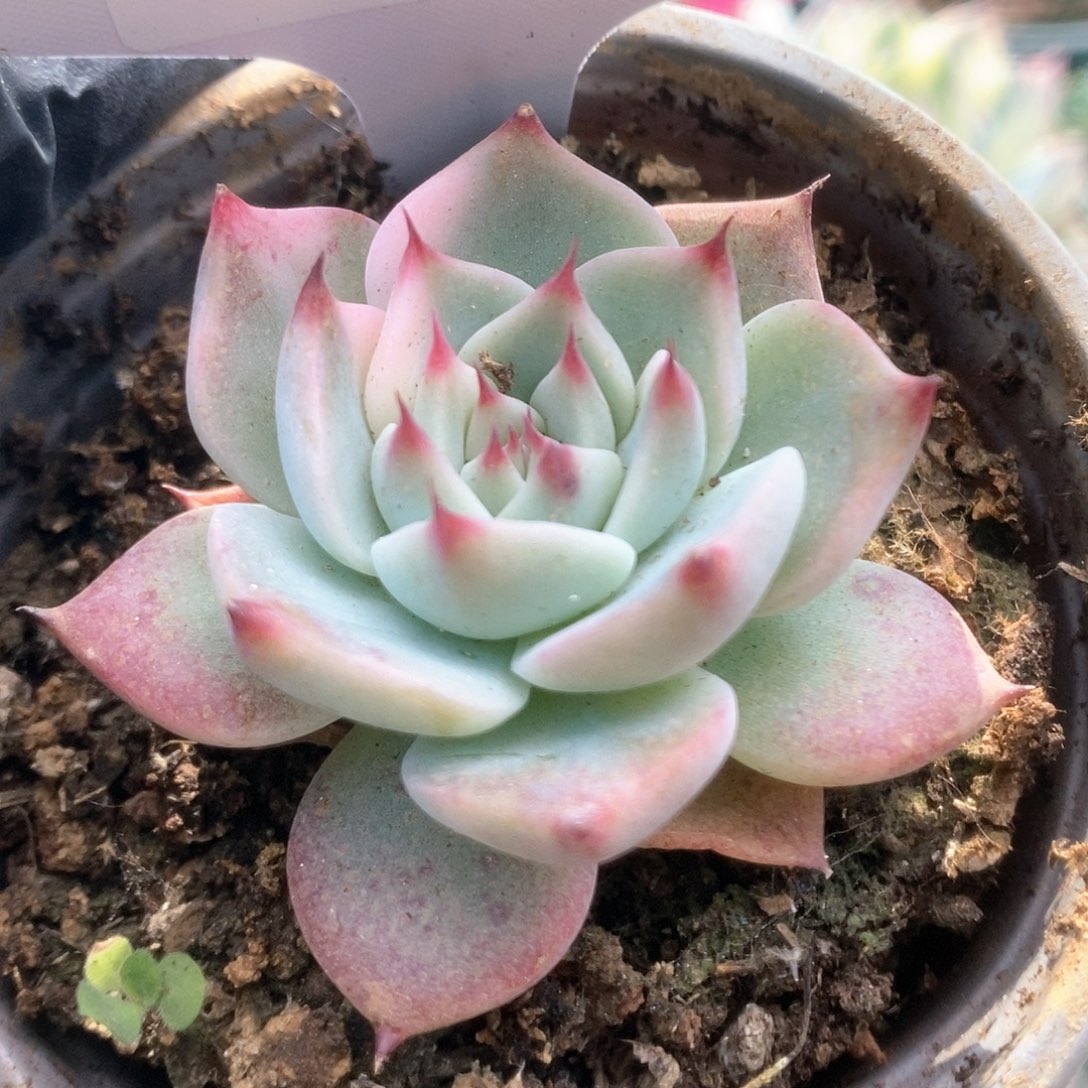 134锦锦锦锦锦锦锦锦