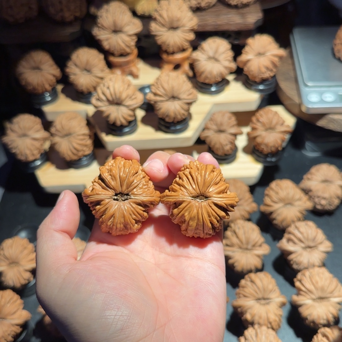 核桃41全品喷砂汉高