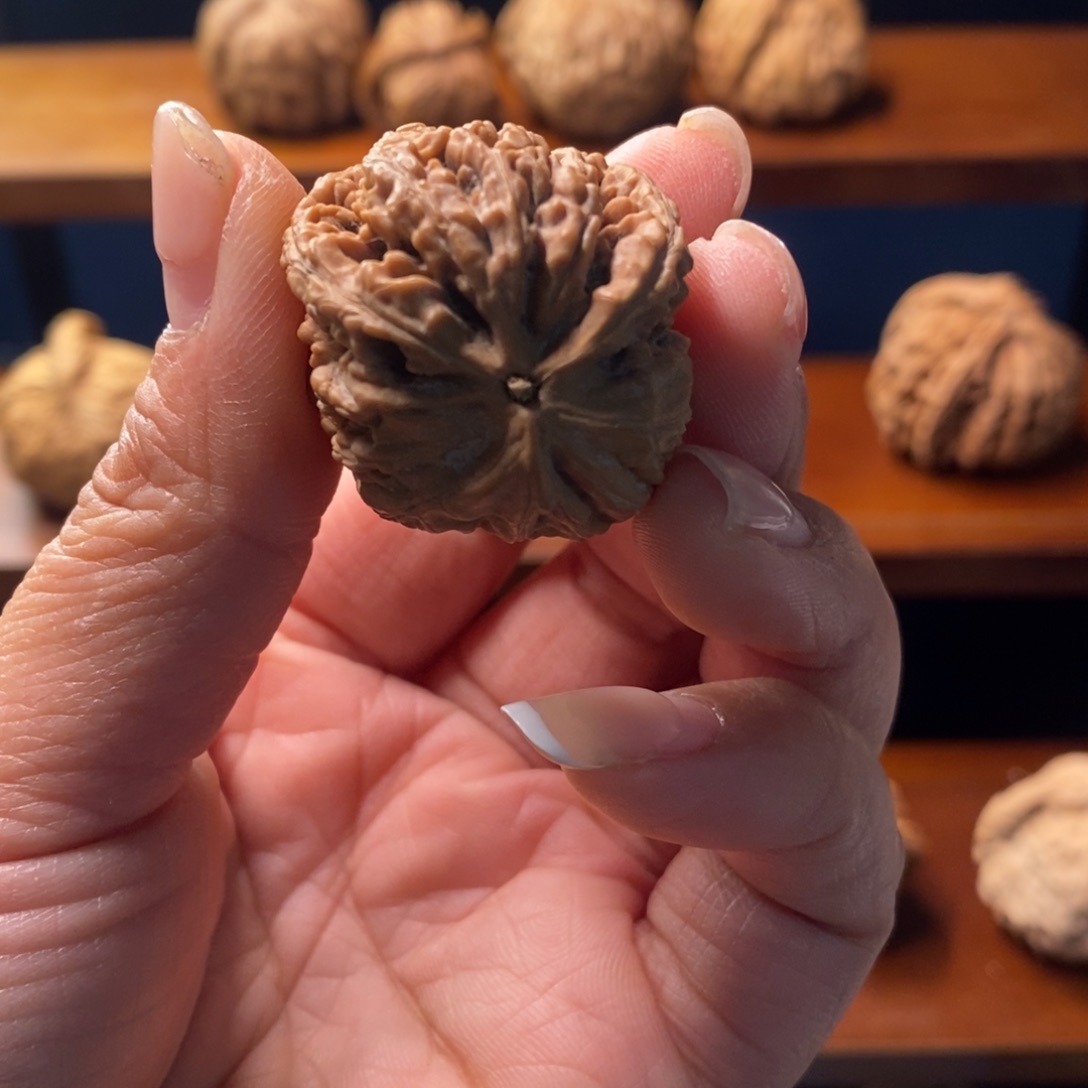 褚***壮文玩核桃吊坠蚂蚁王