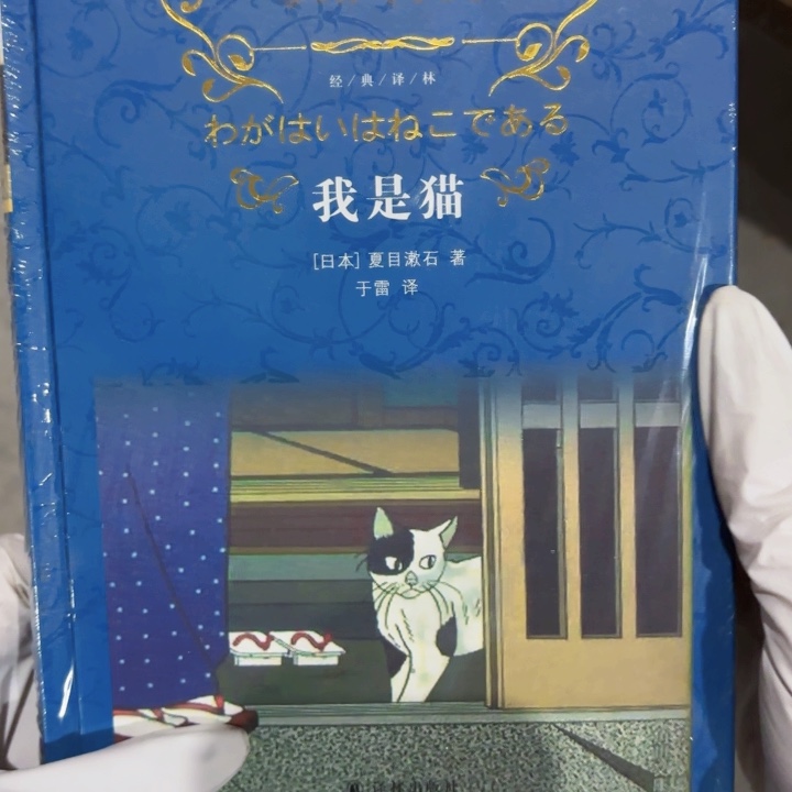 我是猫 闪购闪购闪购