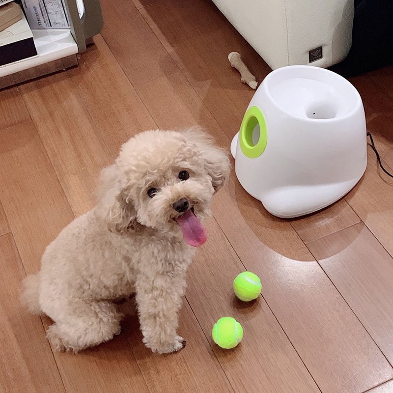宠物狗狗玩具p发射器边牧扔球af玩具网球投球狗狗玩具自动发射器
