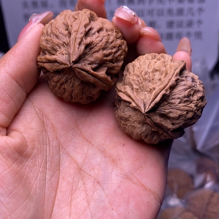 核桃云南野生铁核桃102号37mm