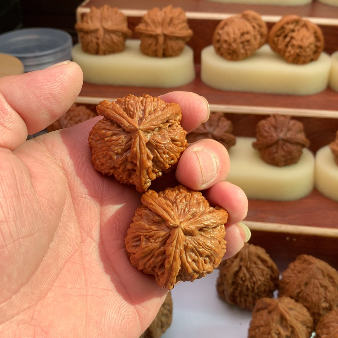 文玩核桃把件白狮子