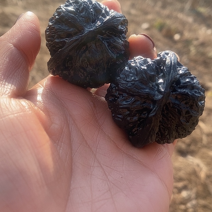 2***7地闷一物一图不退换