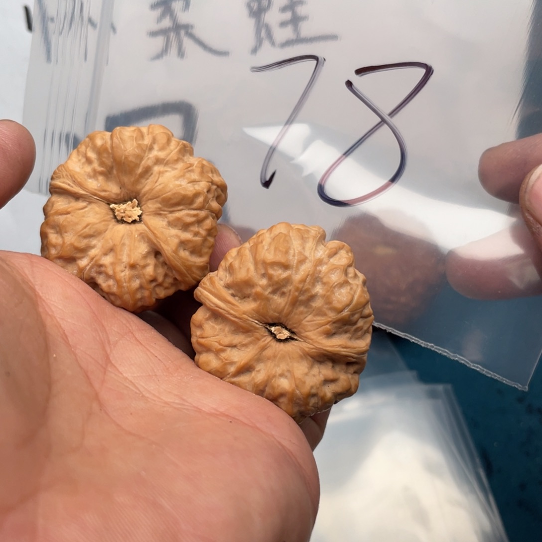 核桃手串/手链W649638468469486368