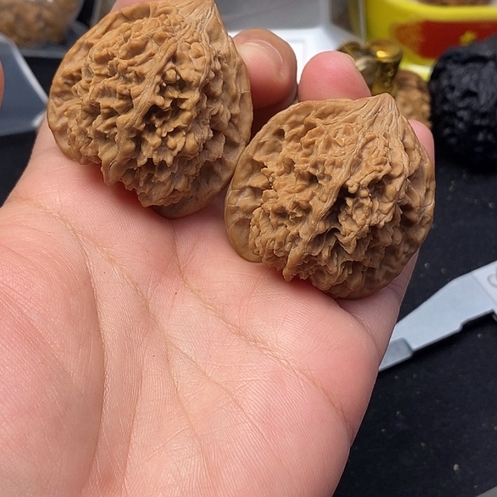 吊坠龙脊菩提满天星