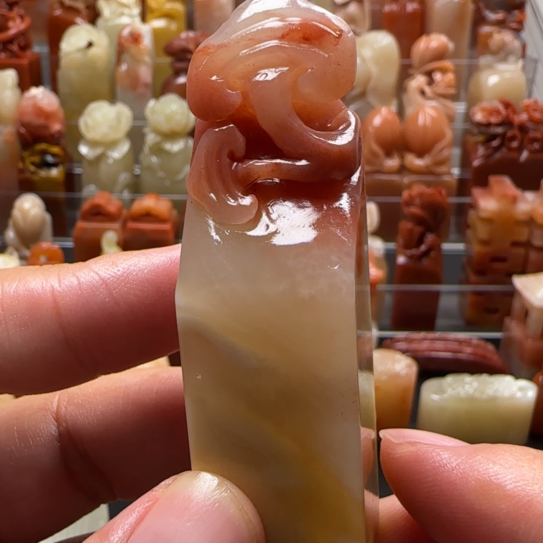 老挝石灵芝   2×7.7