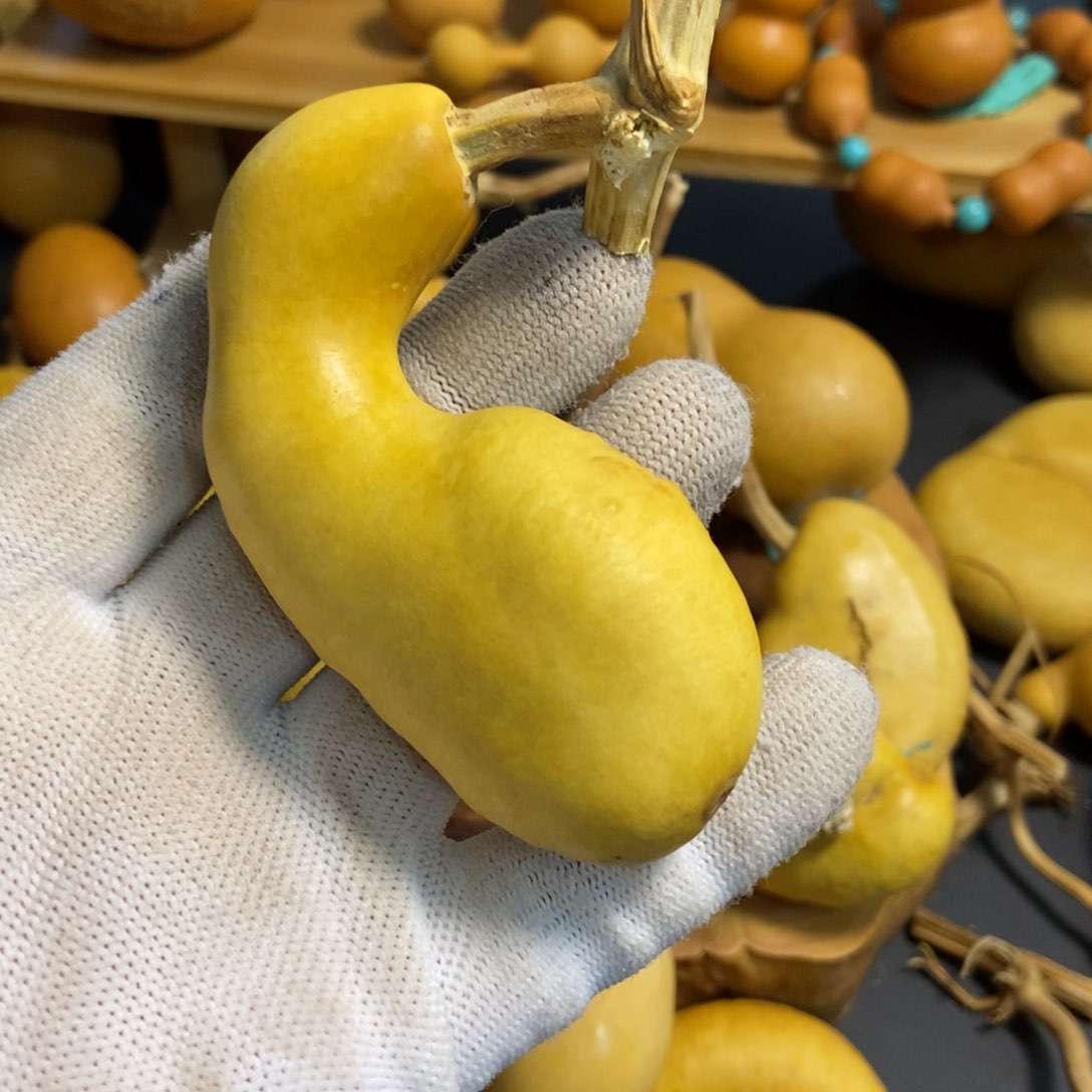 随****5葫芦葫芦真的