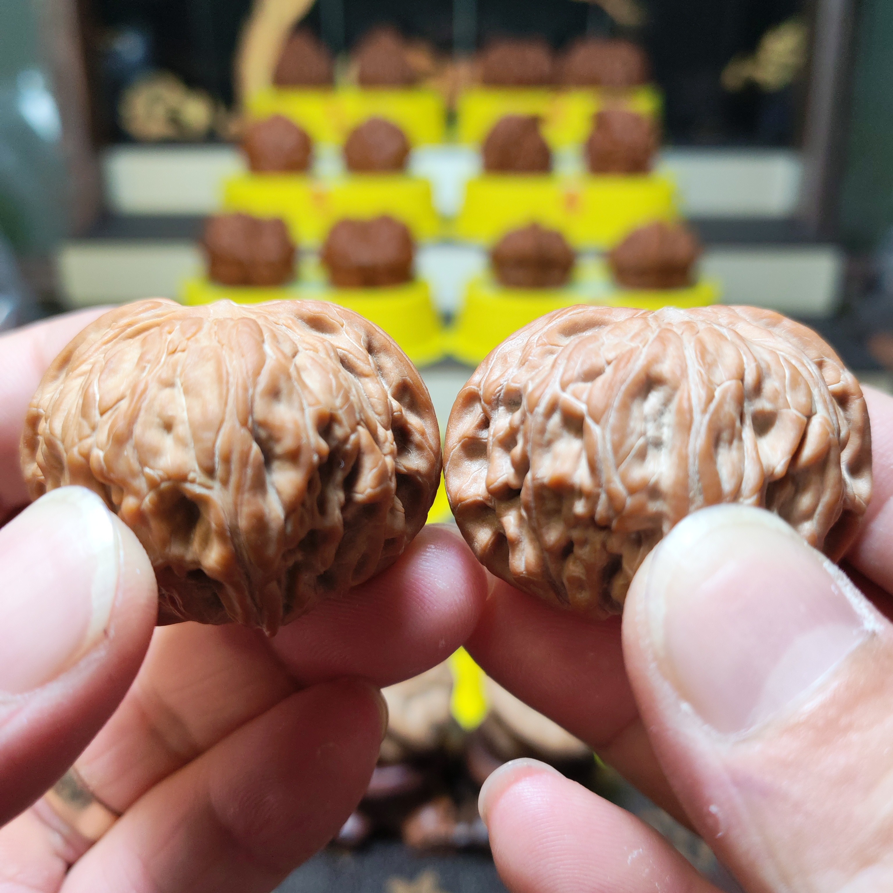 42尺全品正磨盘/精配红皮白茬/特大漏