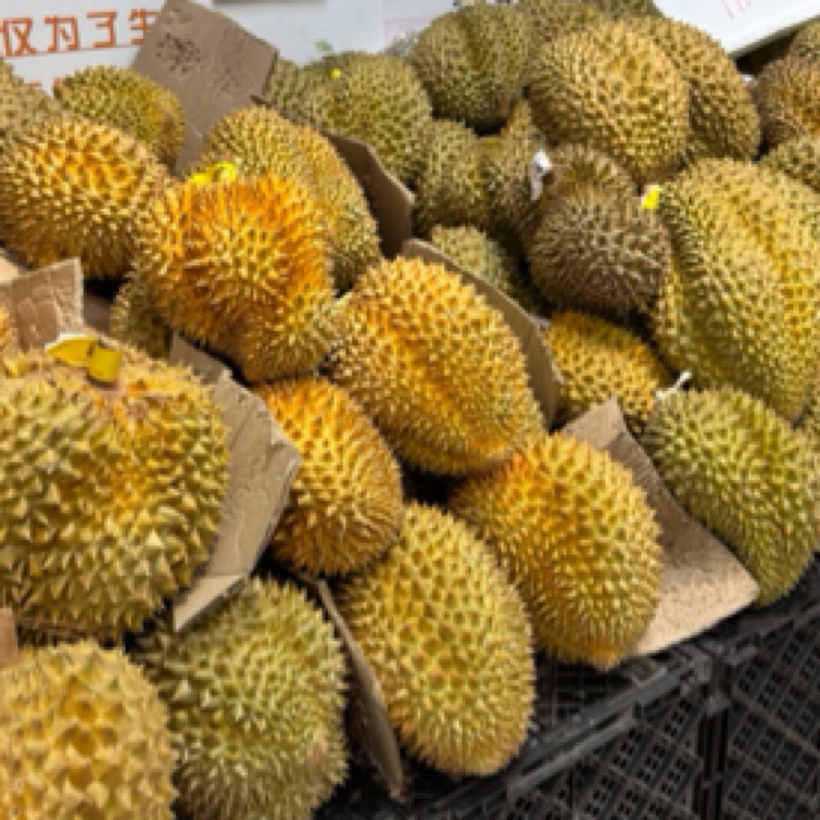 金枕榴莲AB果 约4.5斤 鲜榴莲 核小 偏湿包 介意勿拍金枕泰国