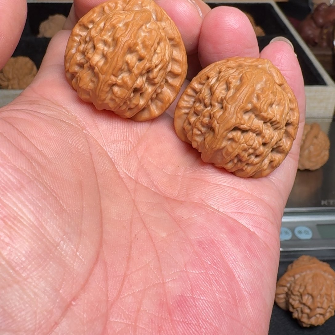 明***天把件文玩核桃全品三角白 尺寸34