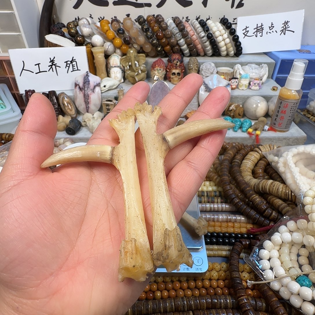卡***里手串/手链鸡骨（鸡脚）00000000000242