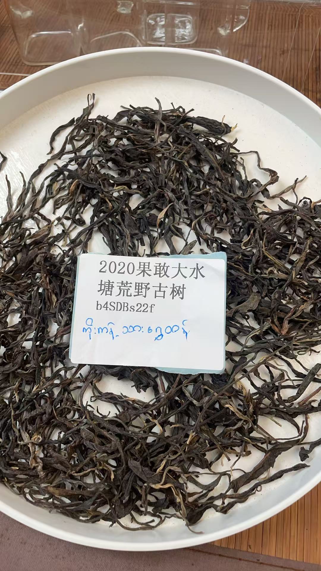 2020年果敢大水塘荒野古树散茶b4SDBs22f-577