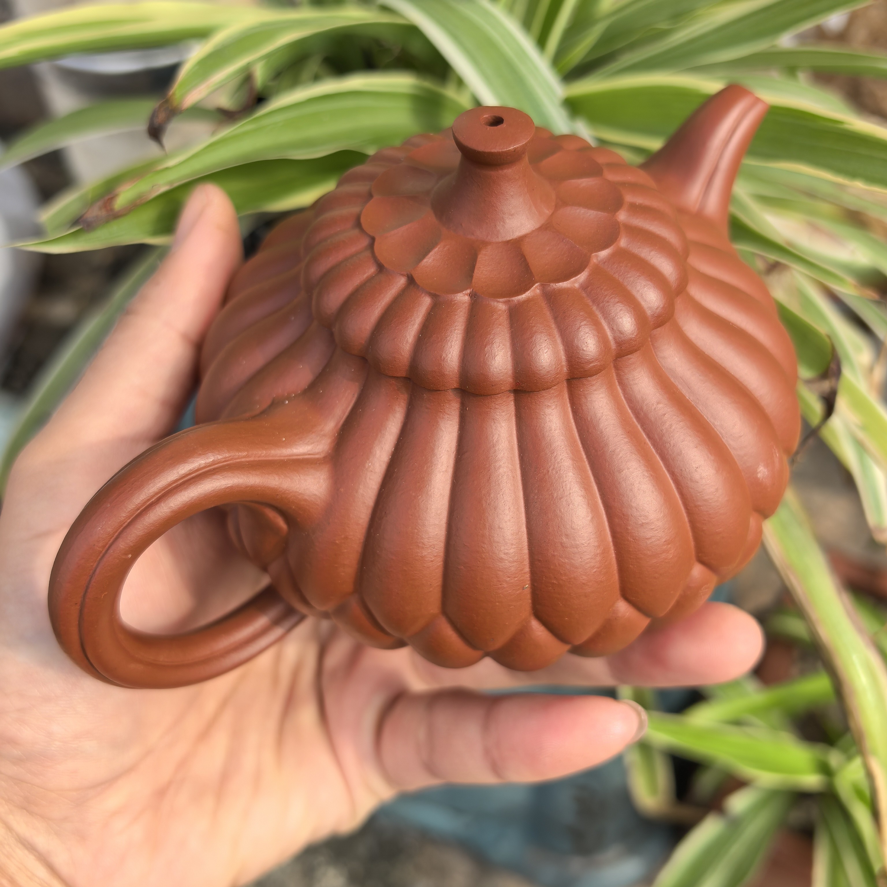 赵庄朱泥包罗万象筋纹器300cc