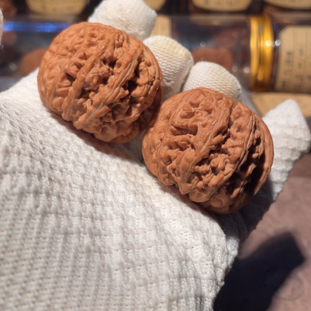 核桃43球筋jjjjjjj