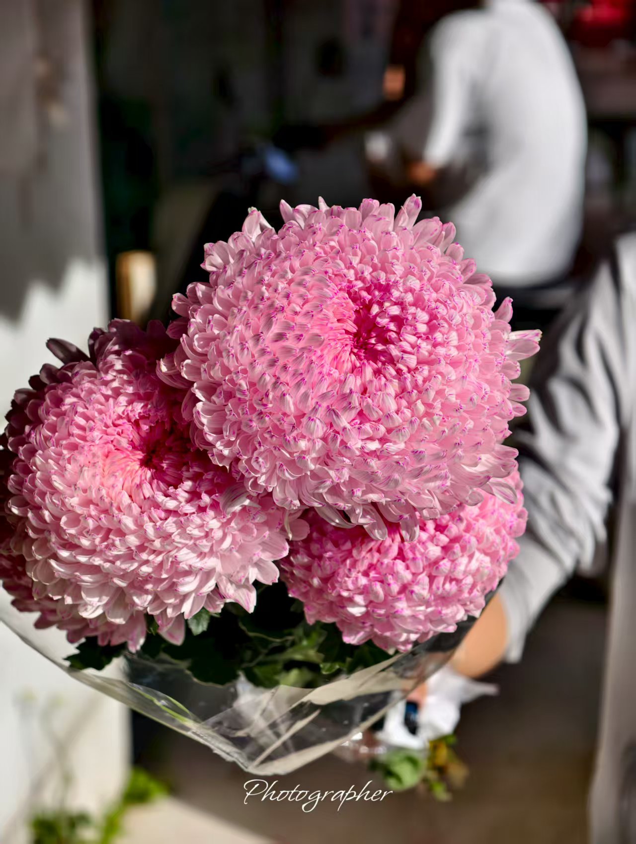 YZ【A级稀有梦幻浅粉牡丹菊5支 】全场任意满两单鲜花升级快递