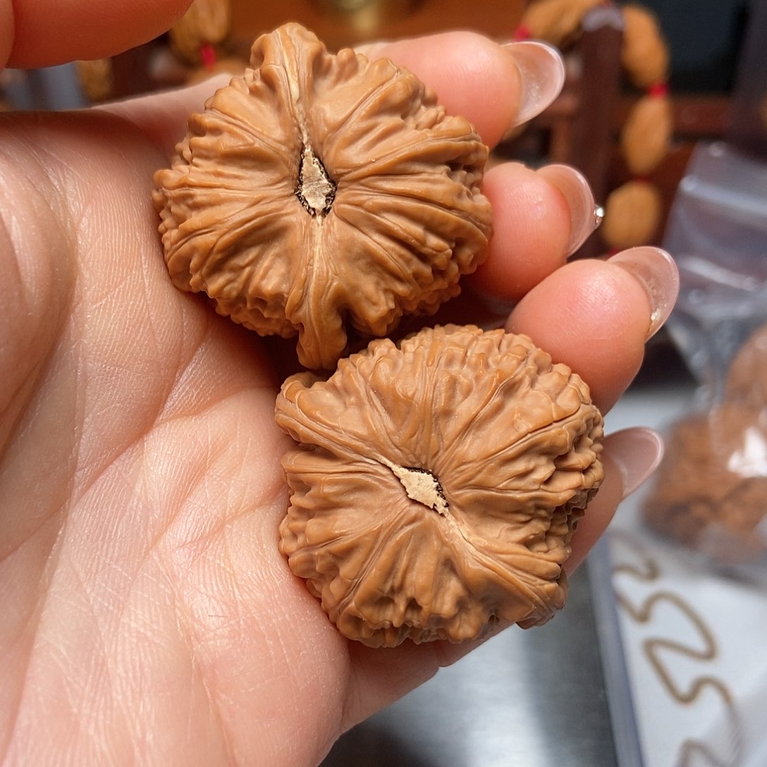 大叶紫檀（黑酸枝木类）全品白狮子