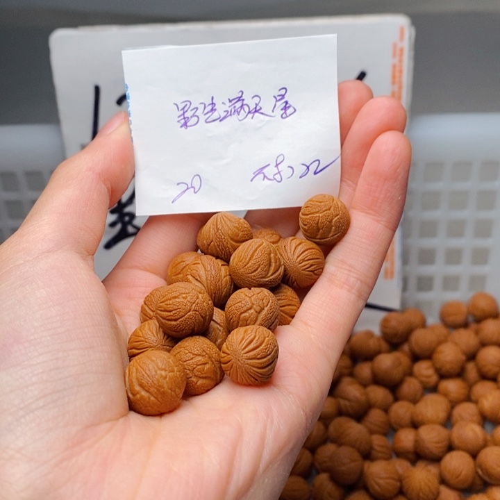 手串桃核12mm左右野生满天星20颗（打孔）